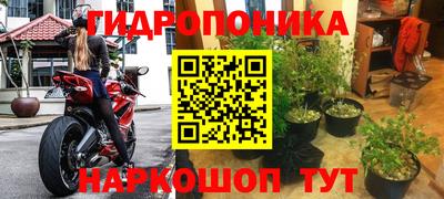 соль ск Будённовск