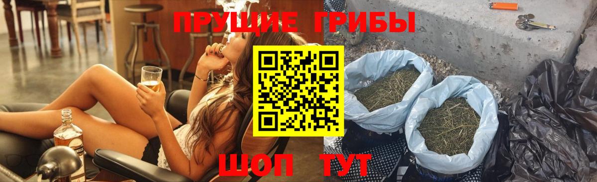Мариинск  Псилоцибиновые грибы Psilocybe  Вход с VPN 